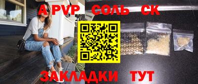 гашик Дубна