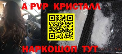 гашик Дубна