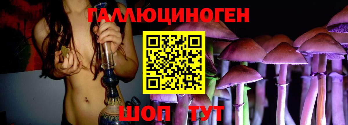 Моздок  Псилоцибиновые грибы мицелий  Вход с VPN 